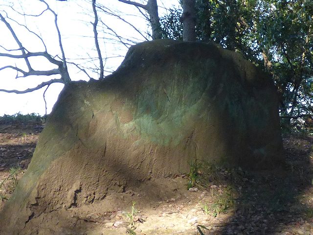 白山古墳の石室と思われる岩