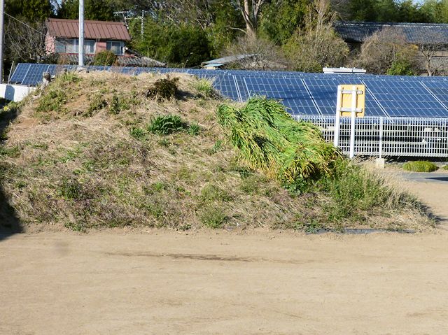 白山愛宕山古墳