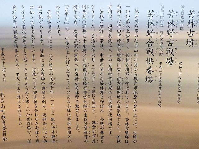 苦林古墳の説明